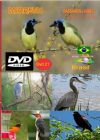 DVD 21 - P�ssaros Livres - Sons P�ssaros Brasil
